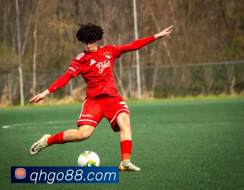 启航娱乐官网APP 封面图